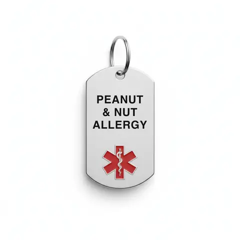 Stainless steel medical alert keychain tag engraved "PEANUT & NUT ALLERGY" with red star of life
